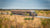 Road train transporting livestock through the Australian outback, representing GPS fleet management solutions for rural and long-haul transport.
